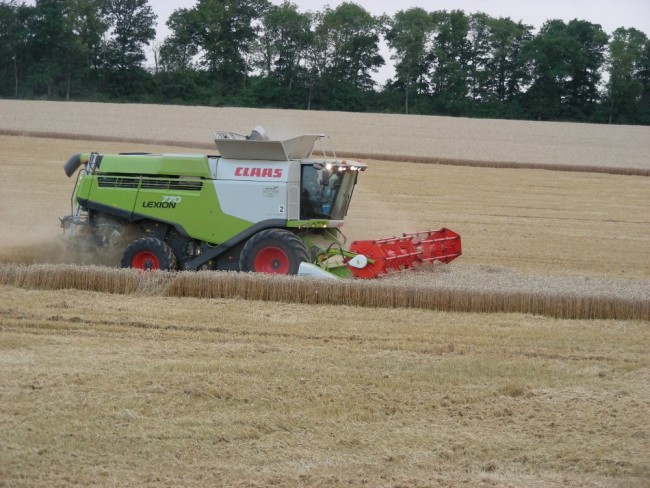 Claas Lexion 770 (6).JPG