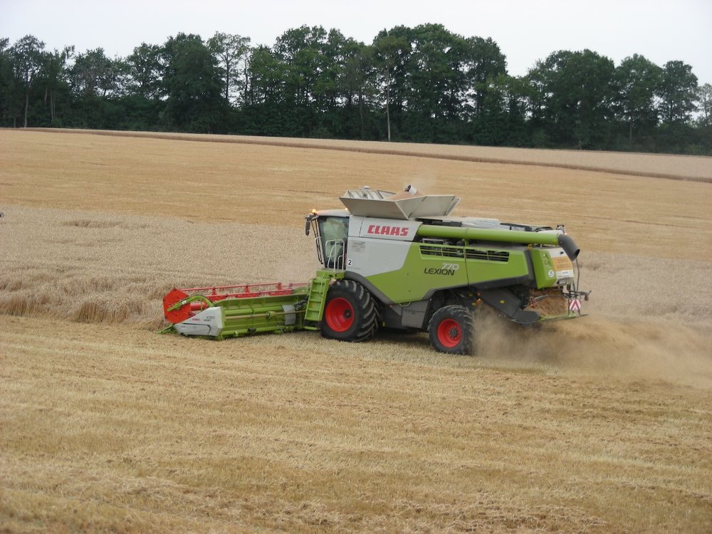 Claas Lexion 770 (4).JPG