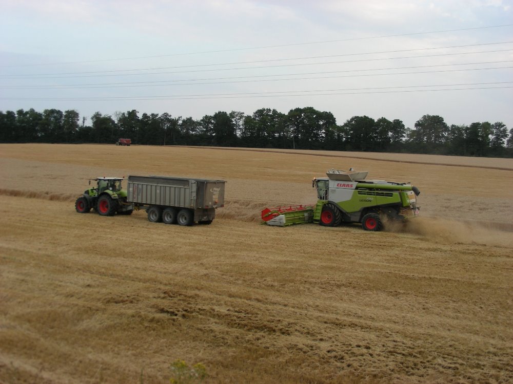 Claas Lexion 770 (10).JPG