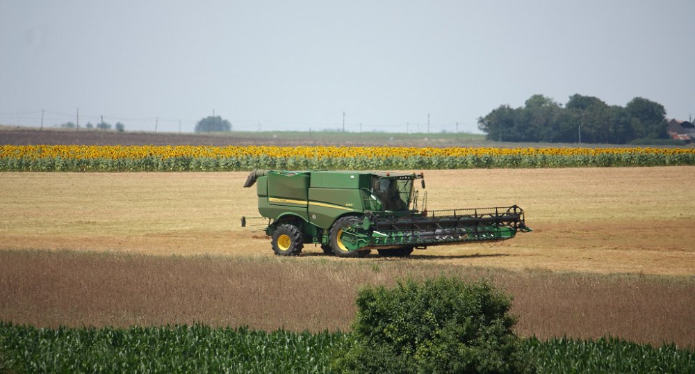 Moisson 2018 150.JPG