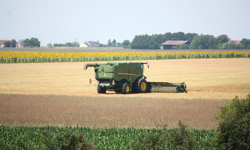 Moisson 2018 151.JPG