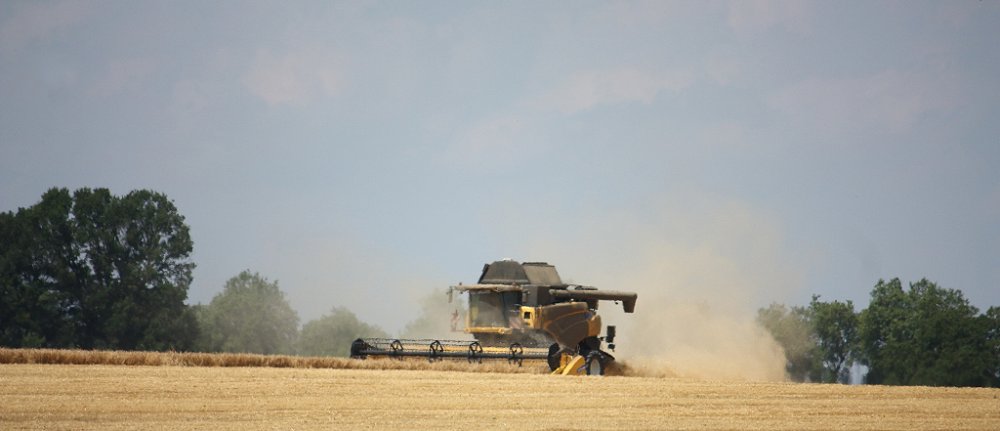 Moisson 2018 158.JPG