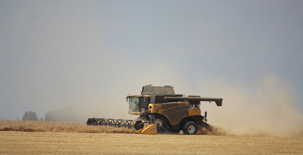 Moisson 2018 160.JPG