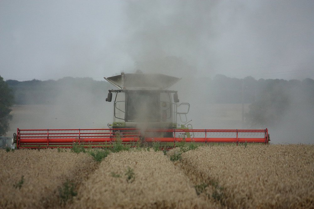 Moisson 2018 169.JPG