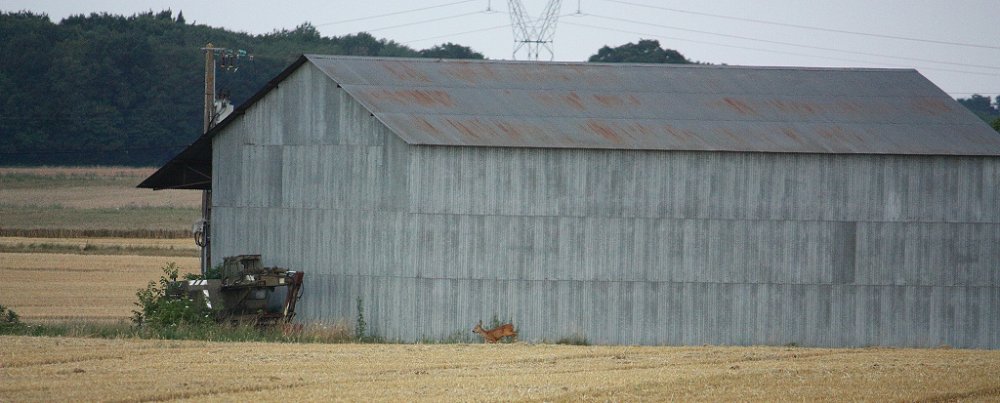 Moisson 2018 177.JPG