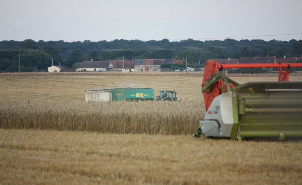Moisson 2018 179.JPG