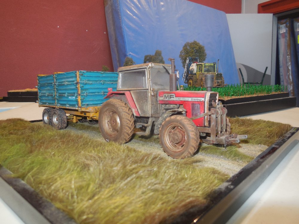 DSCN0727.JPG