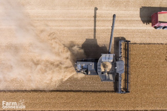 fendt ideal 8-0304.jpg
