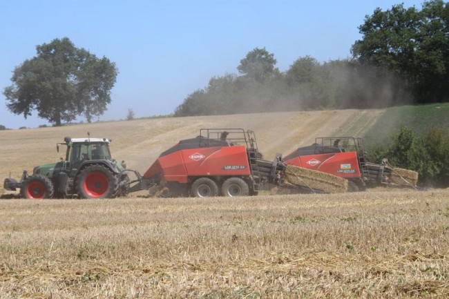 double Kuhn 025.JPG