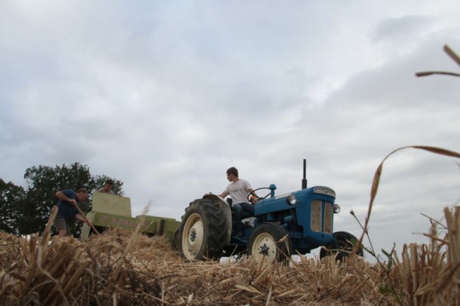 moisson paille 084.JPG