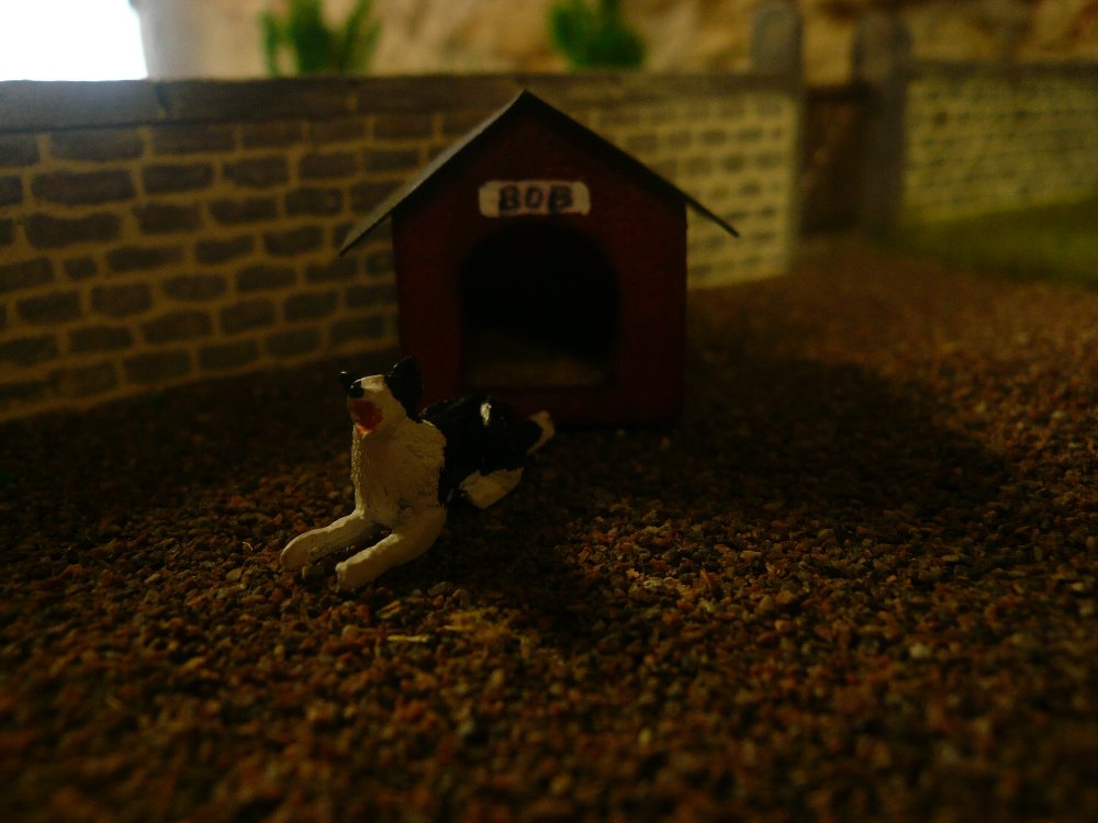 P1040744.JPG