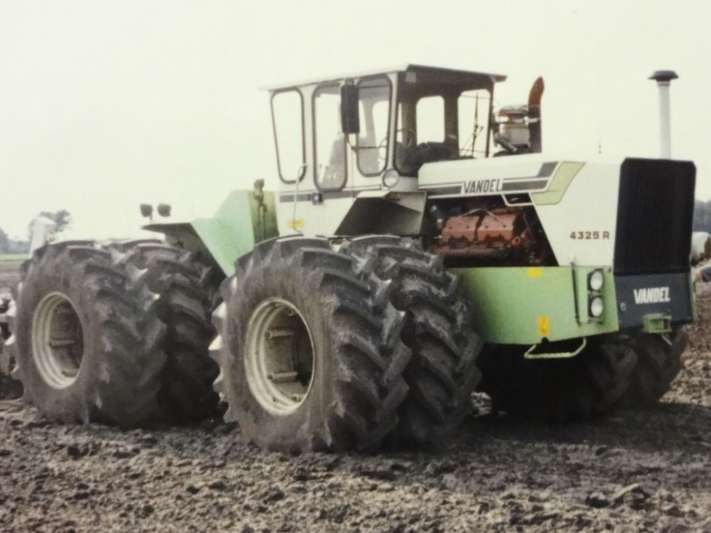 lucate vandel 015.JPG