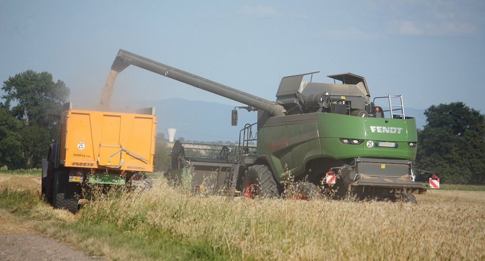 Moisson 2018 200.JPG