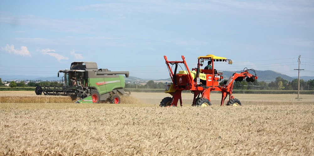 Moisson 2018 207.JPG