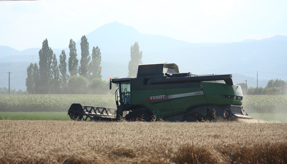 Moisson 2018 210.JPG