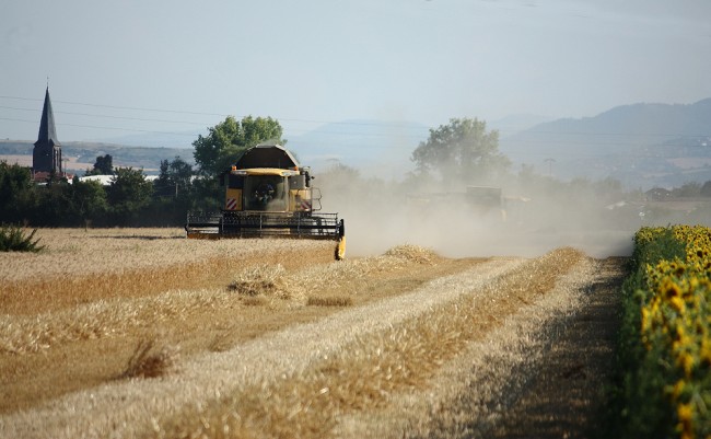 Moisson 2018 212.JPG