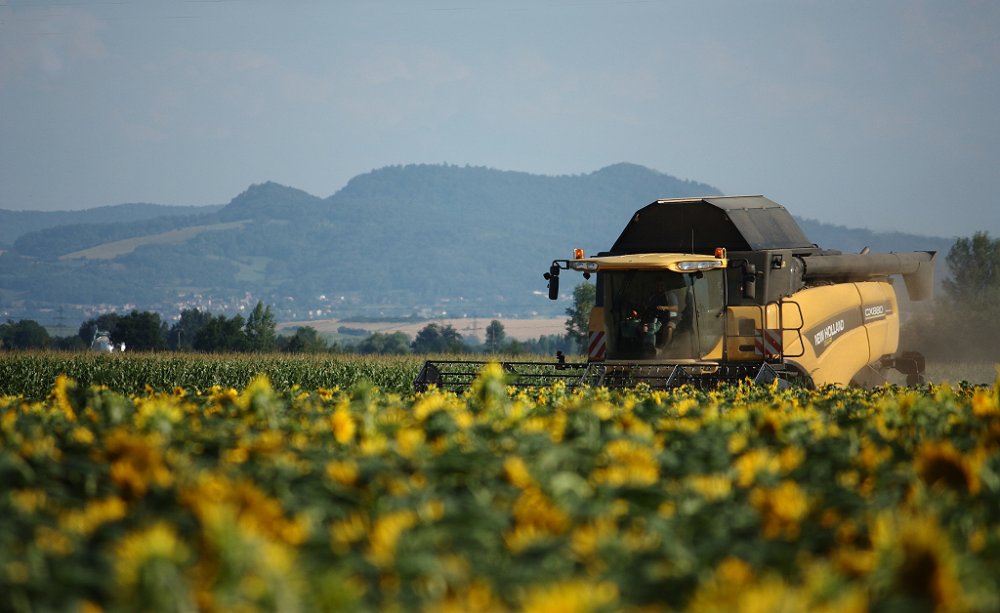 Moisson 2018 215.JPG
