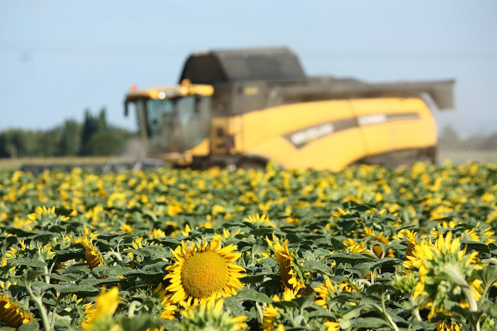 Moisson 2018 223.JPG