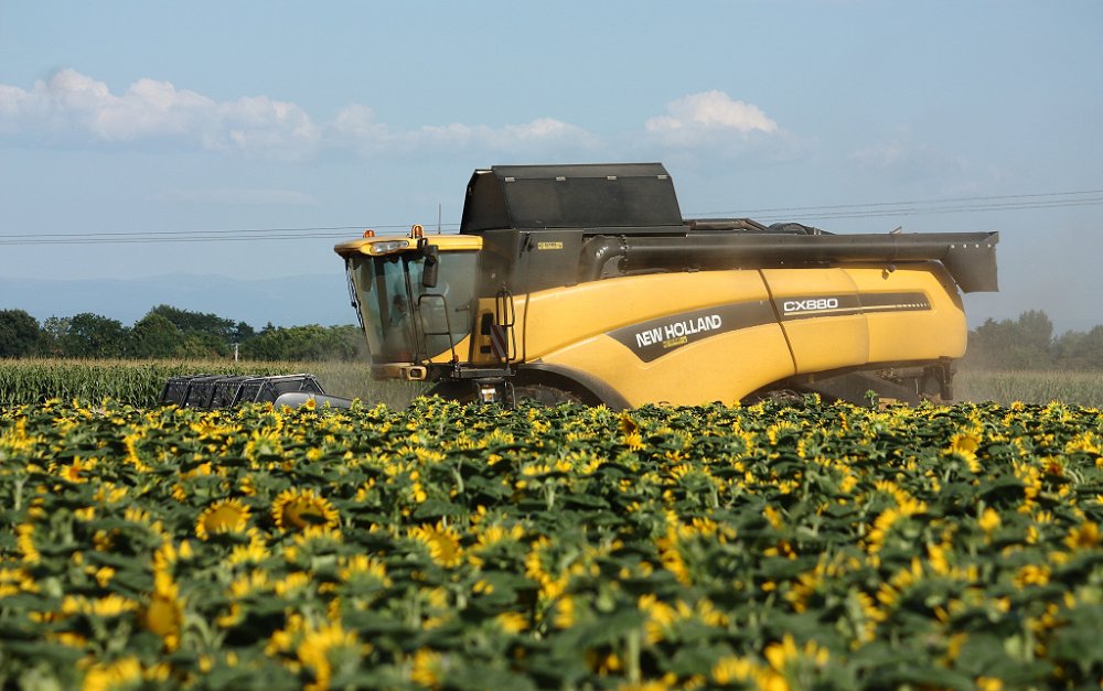 Moisson 2018 225.JPG