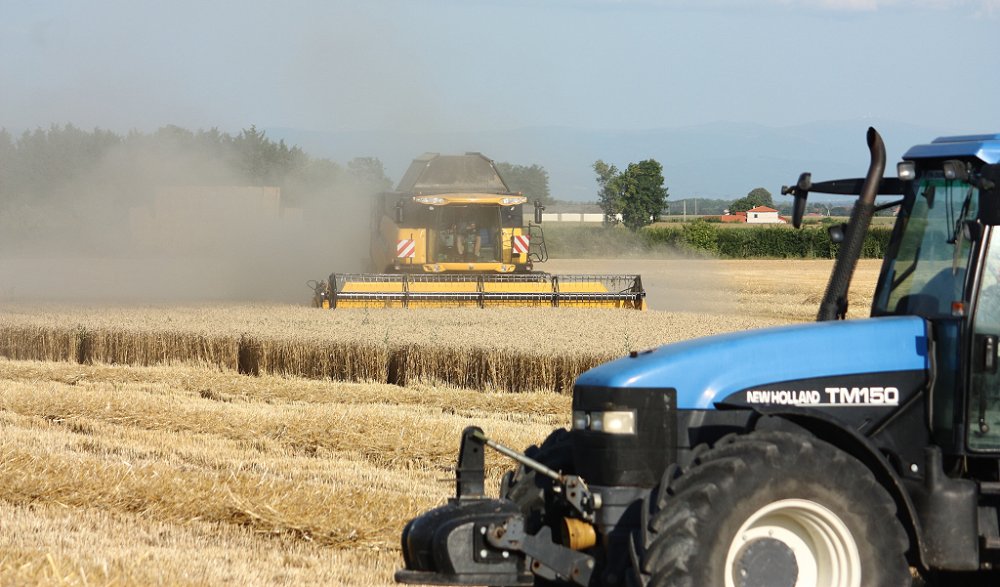 Moisson 2018 234.JPG