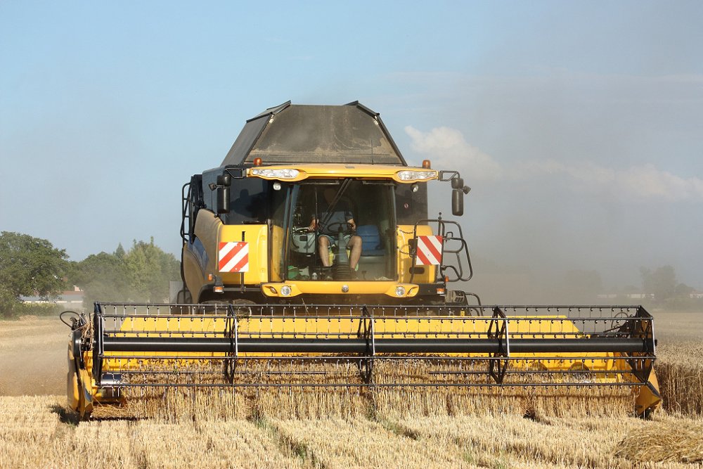 Moisson 2018 240.JPG