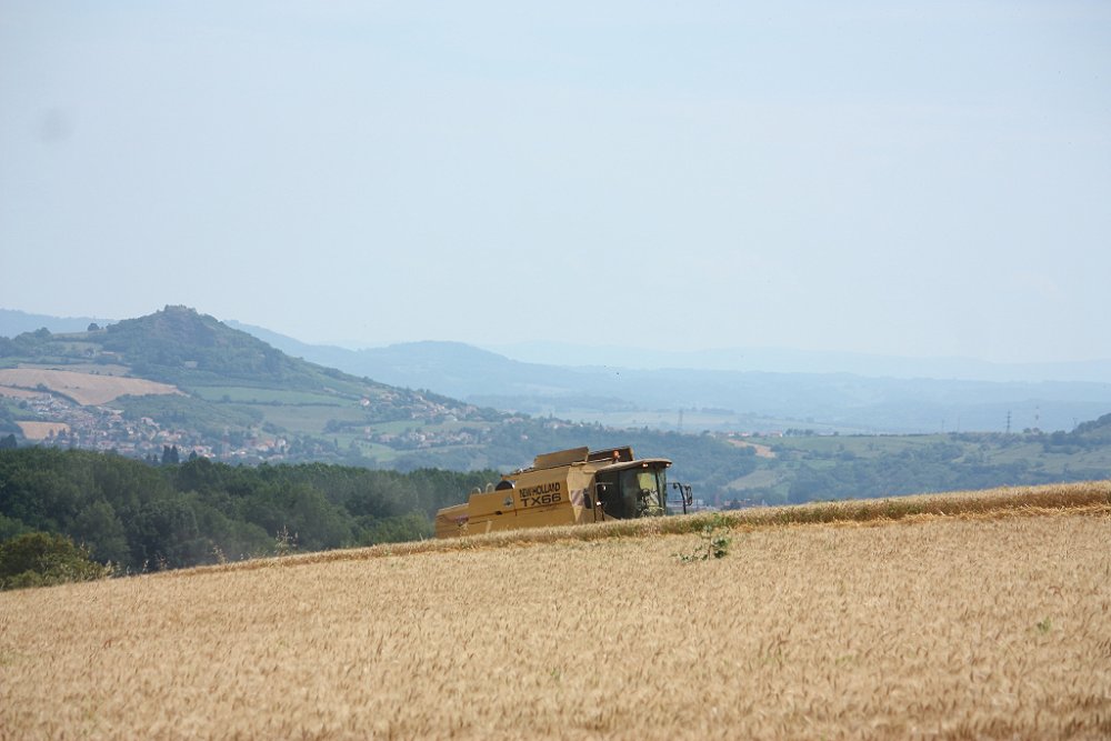 Moisson 2018 316.JPG