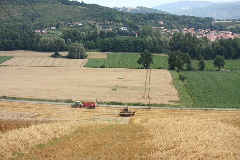 Moisson 2018 326.JPG