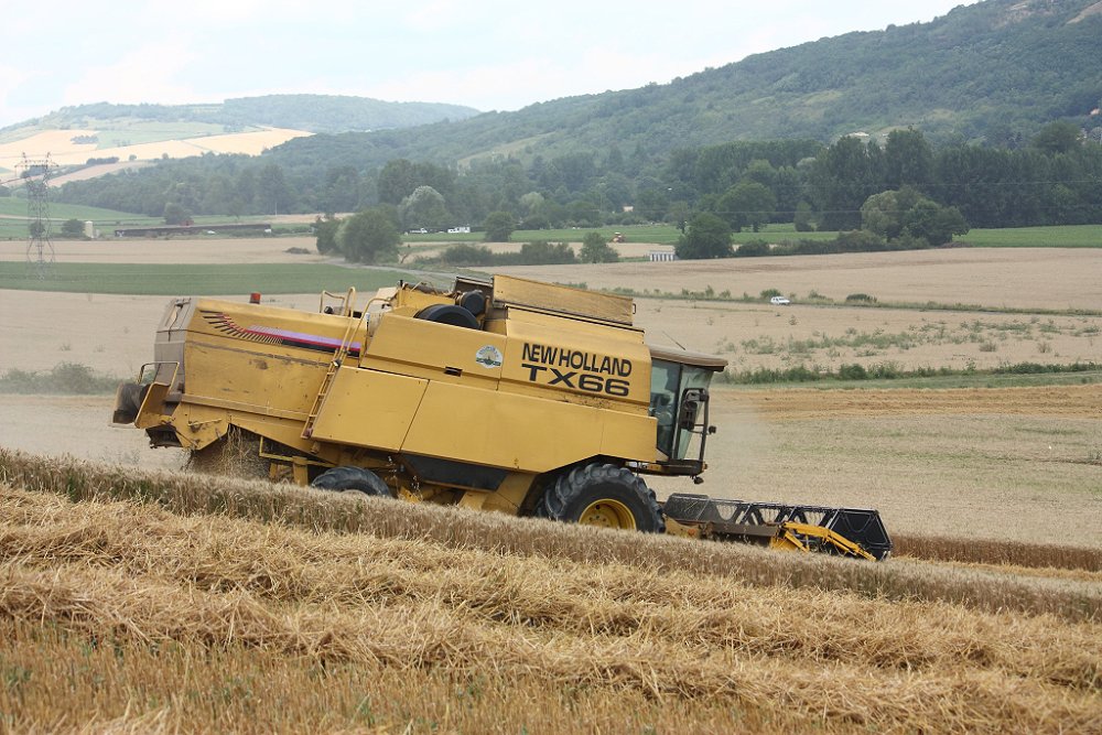 Moisson 2018 336.JPG