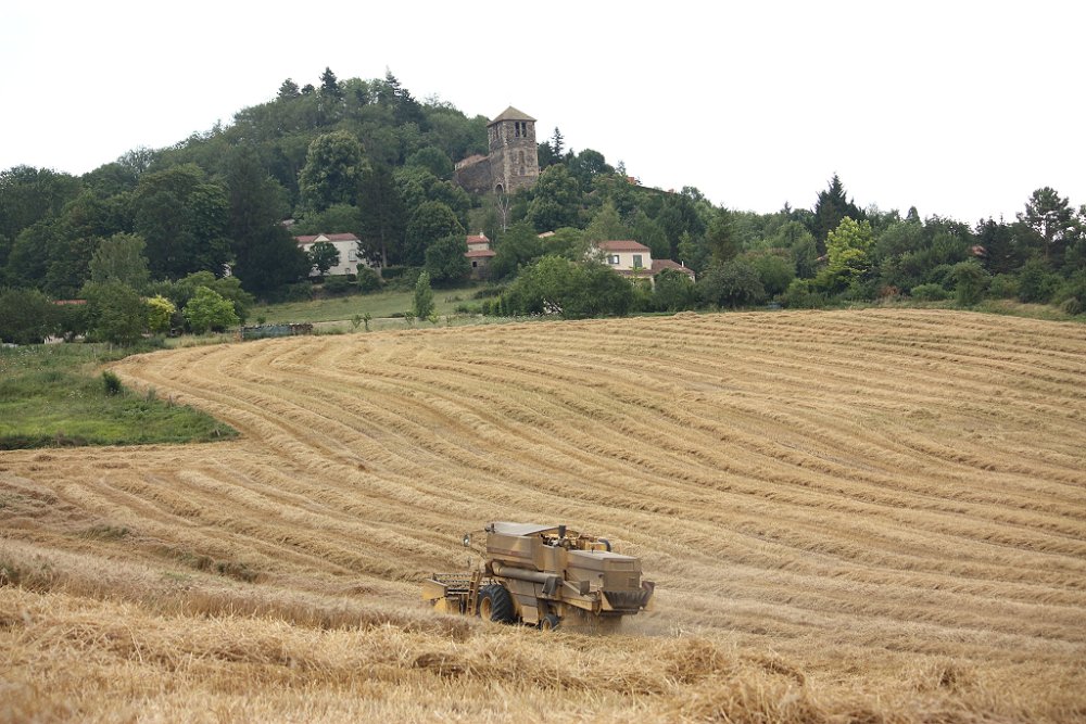 Moisson 2018 339.JPG