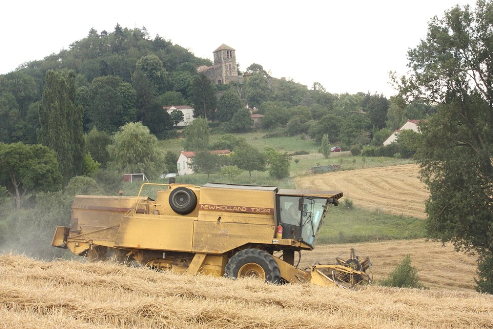 Moisson 2018 348.JPG