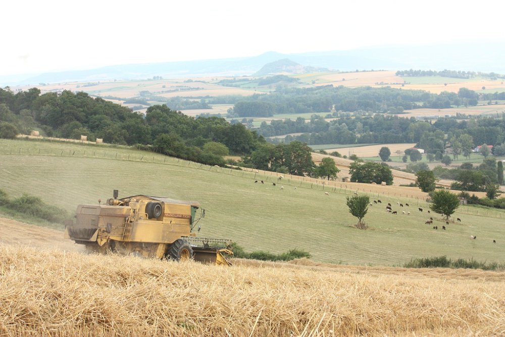 Moisson 2018 349.JPG