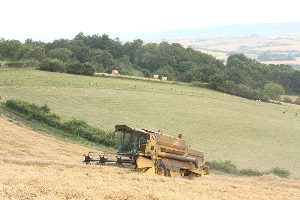 Moisson 2018 352.JPG