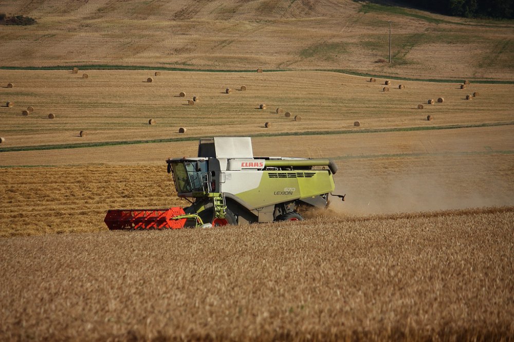 Moisson 2018 361.JPG