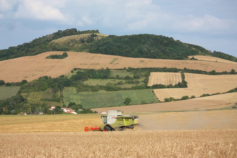 Moisson 2018 364.JPG