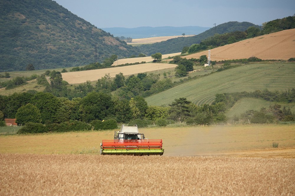 Moisson 2018 366.JPG