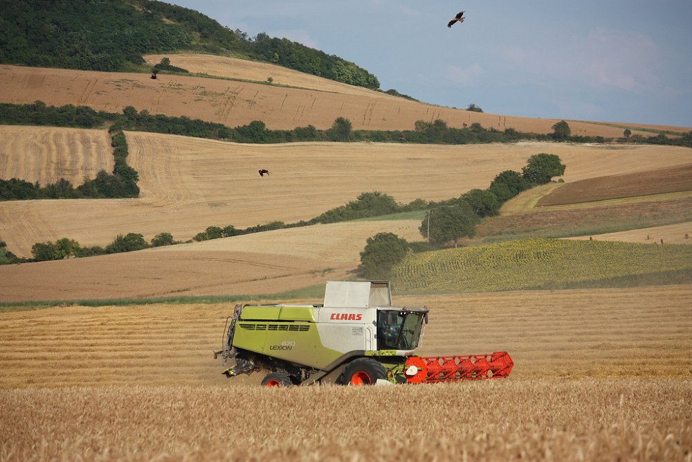 Moisson 2018 368.JPG