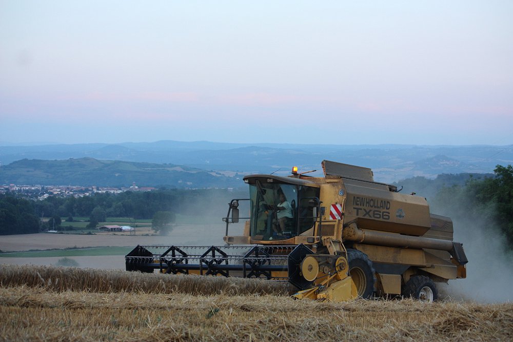 Moisson 2018 378.JPG