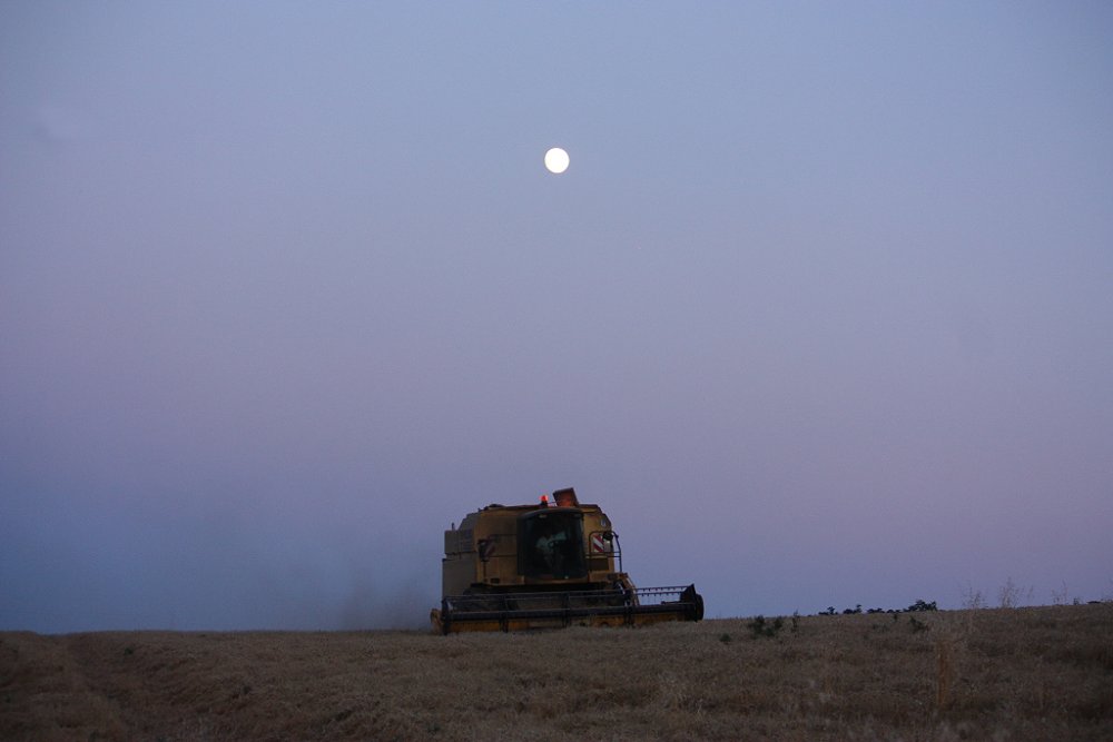 Moisson 2018 412.JPG