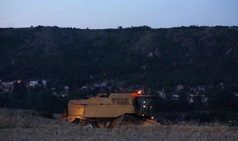 Moisson 2018 459.JPG