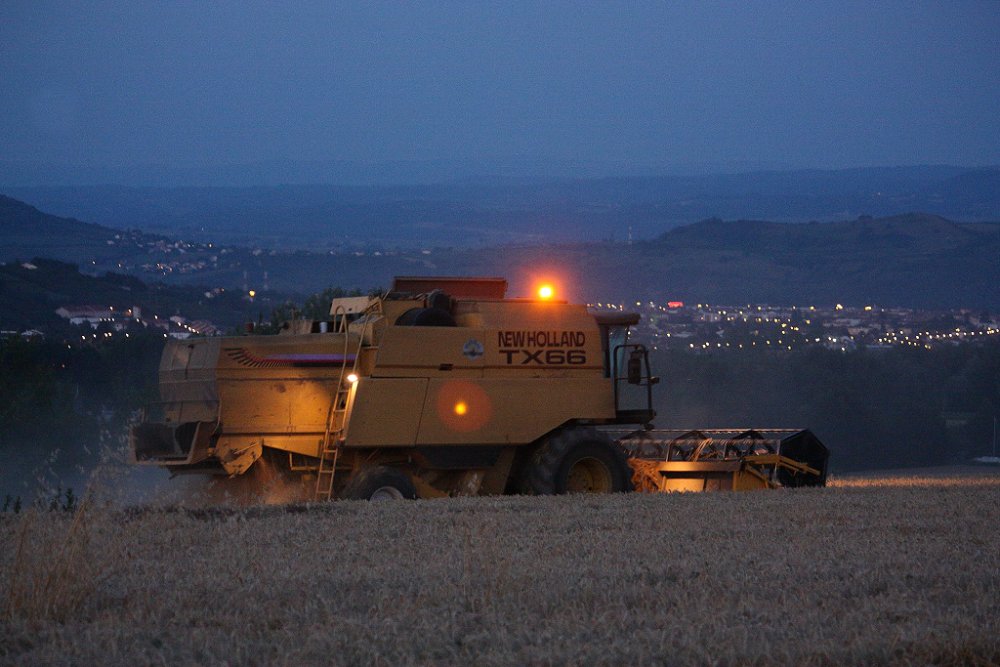 Moisson 2018 467.JPG