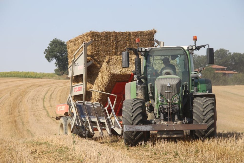 paille2018 047.JPG