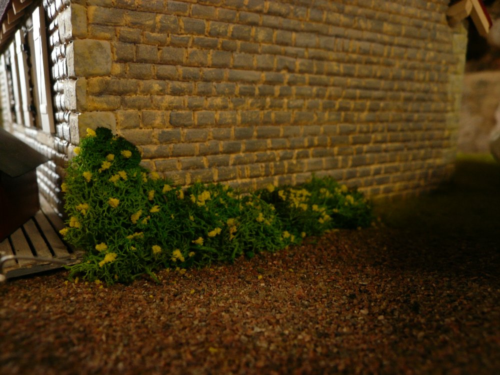 P1040791.JPG