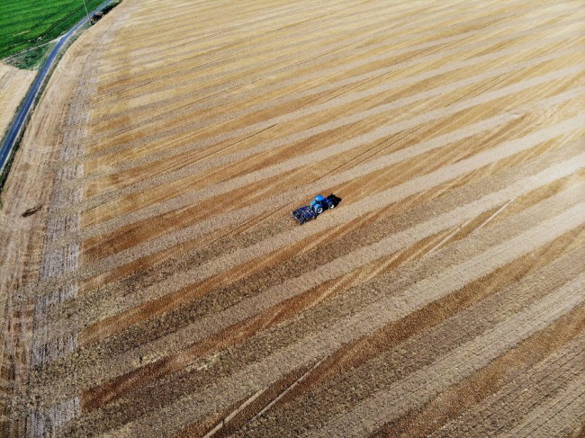 DJI_0055.jpg