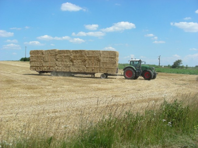 Paille 2018 (9).JPG