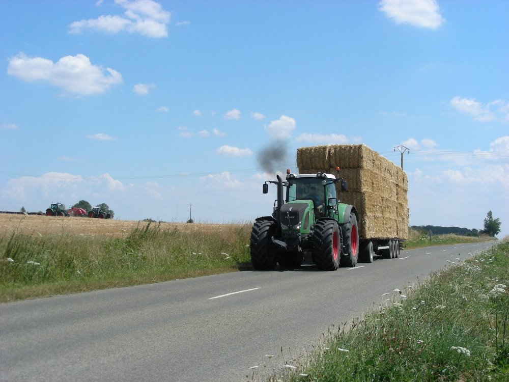 Paille 2018 (11).JPG