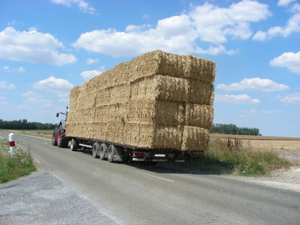 Paille 2018 (12).JPG