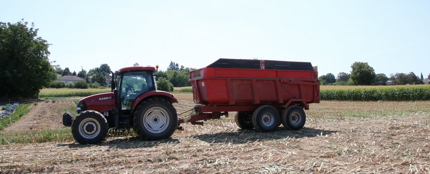 RB0A3984.JPG
