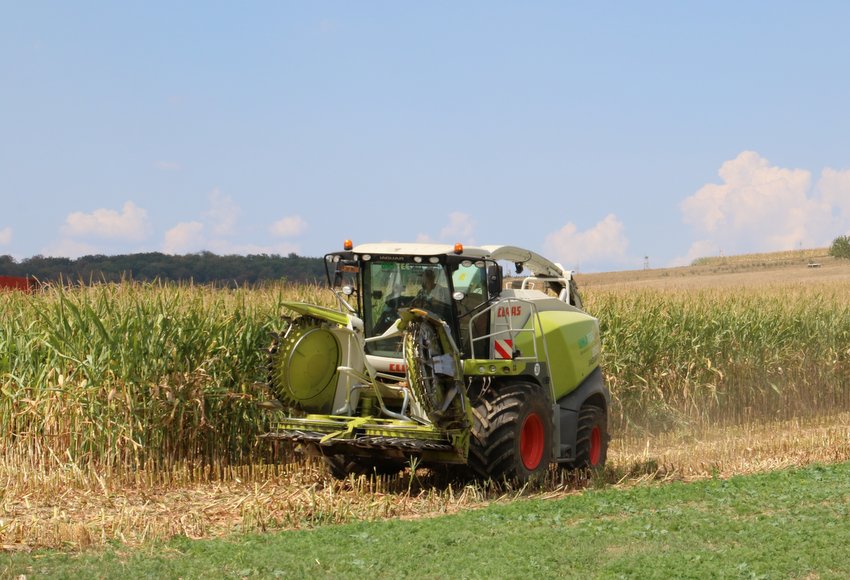 RB0A4140.JPG