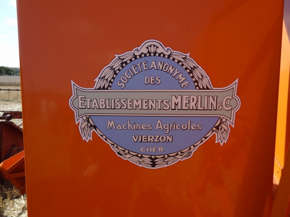 Merlin 531 (3).JPG