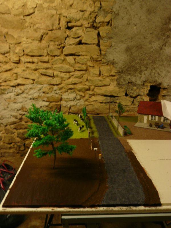 P1040822.JPG